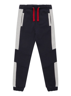 Blue Grey Combo Active Trackpants (2-7)
