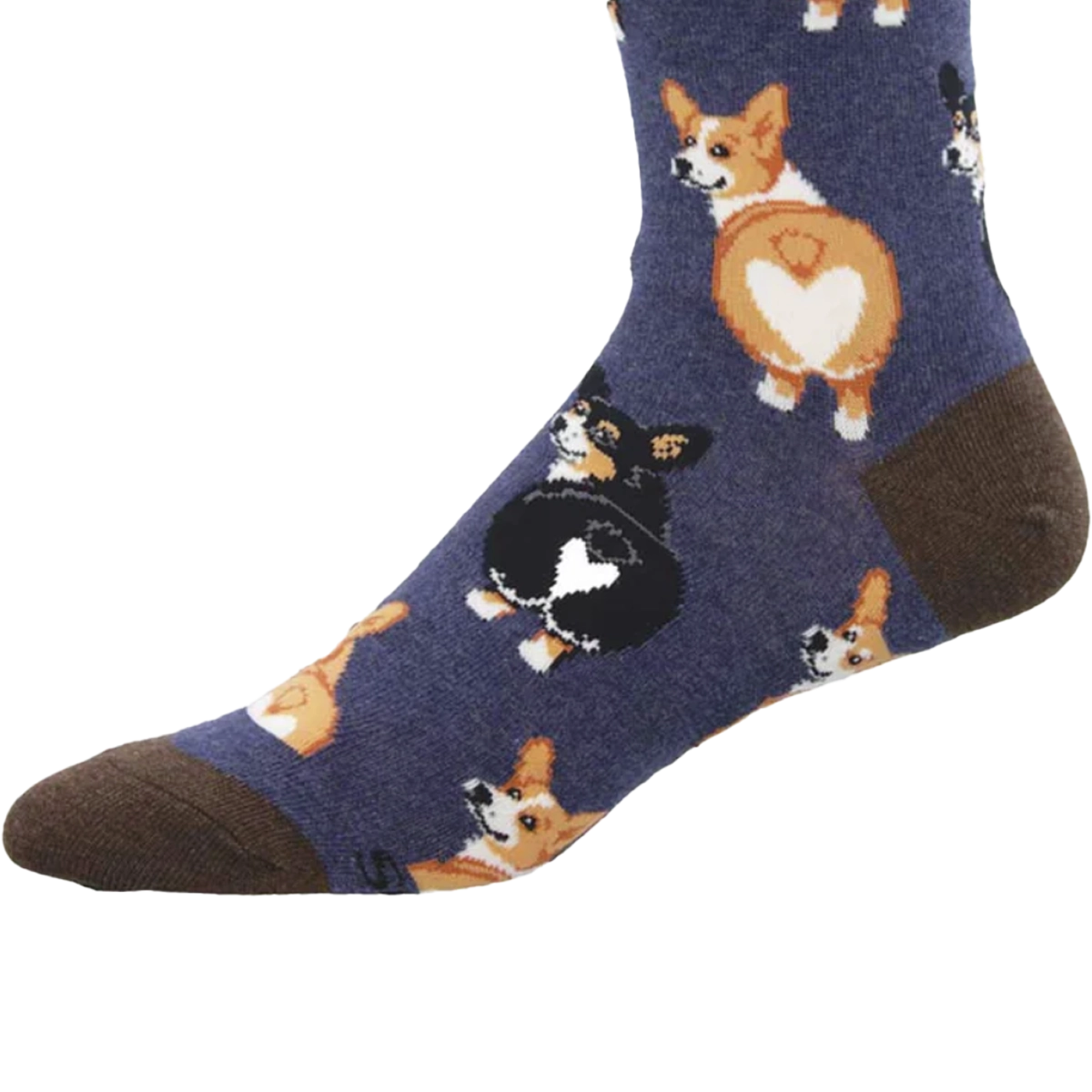 Corgi Butt