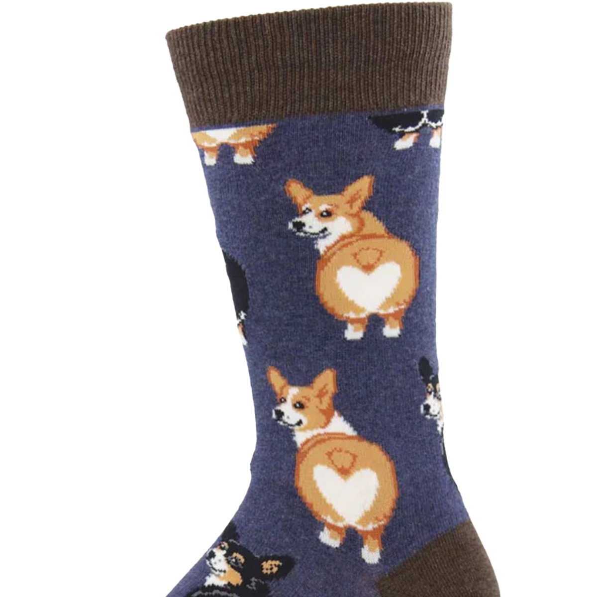 Corgi Butt
