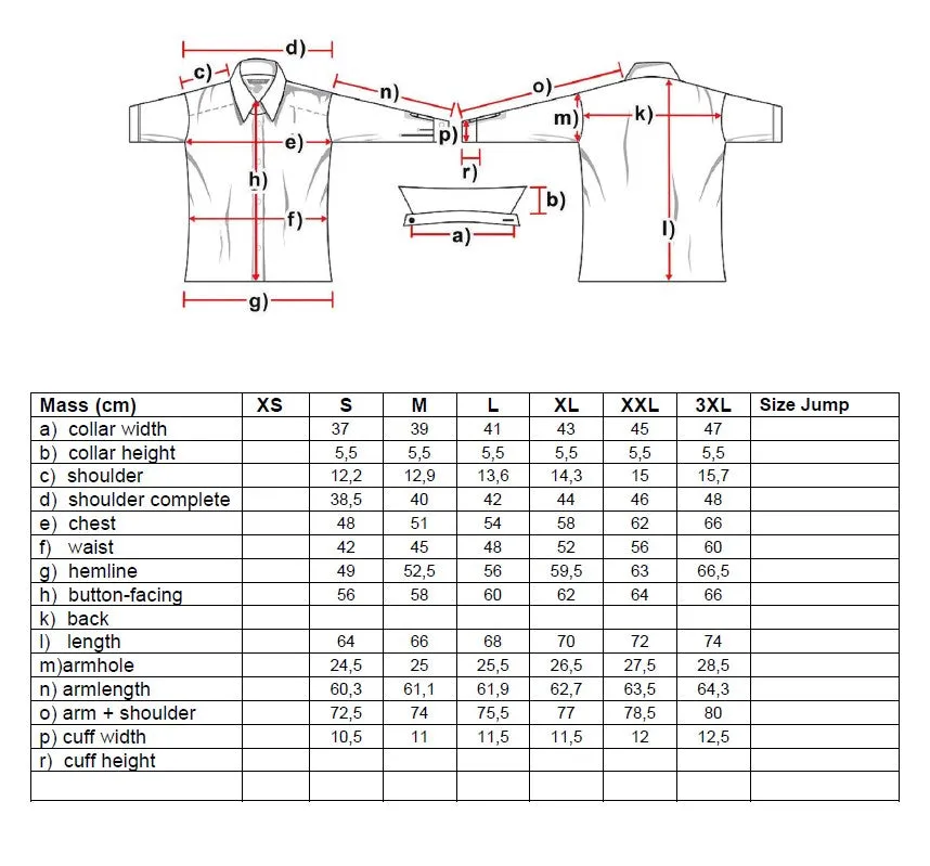 Harper Ladies Western Blouse