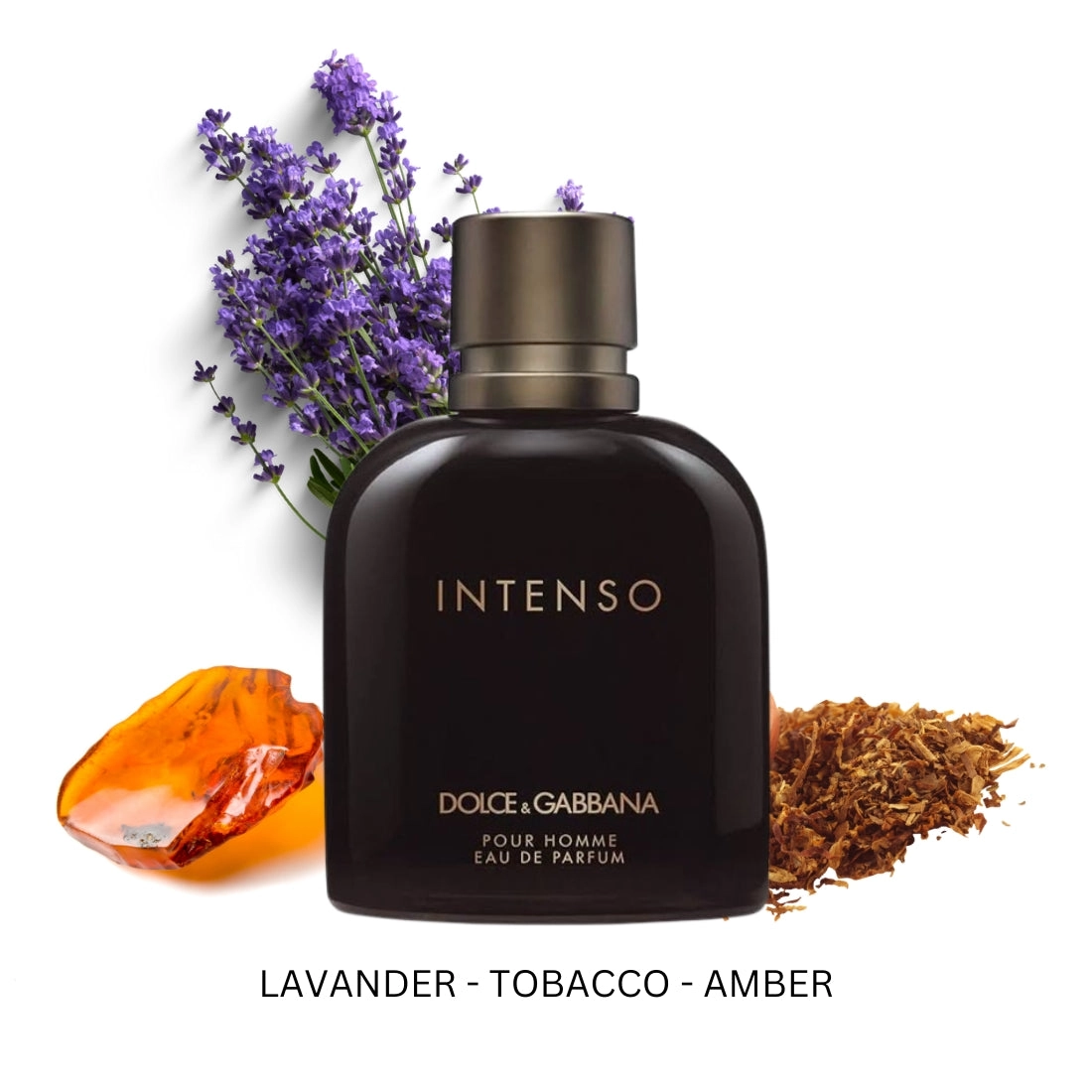 Intenso For Men By Dolce & Gabbana Eau De Parfum Spray