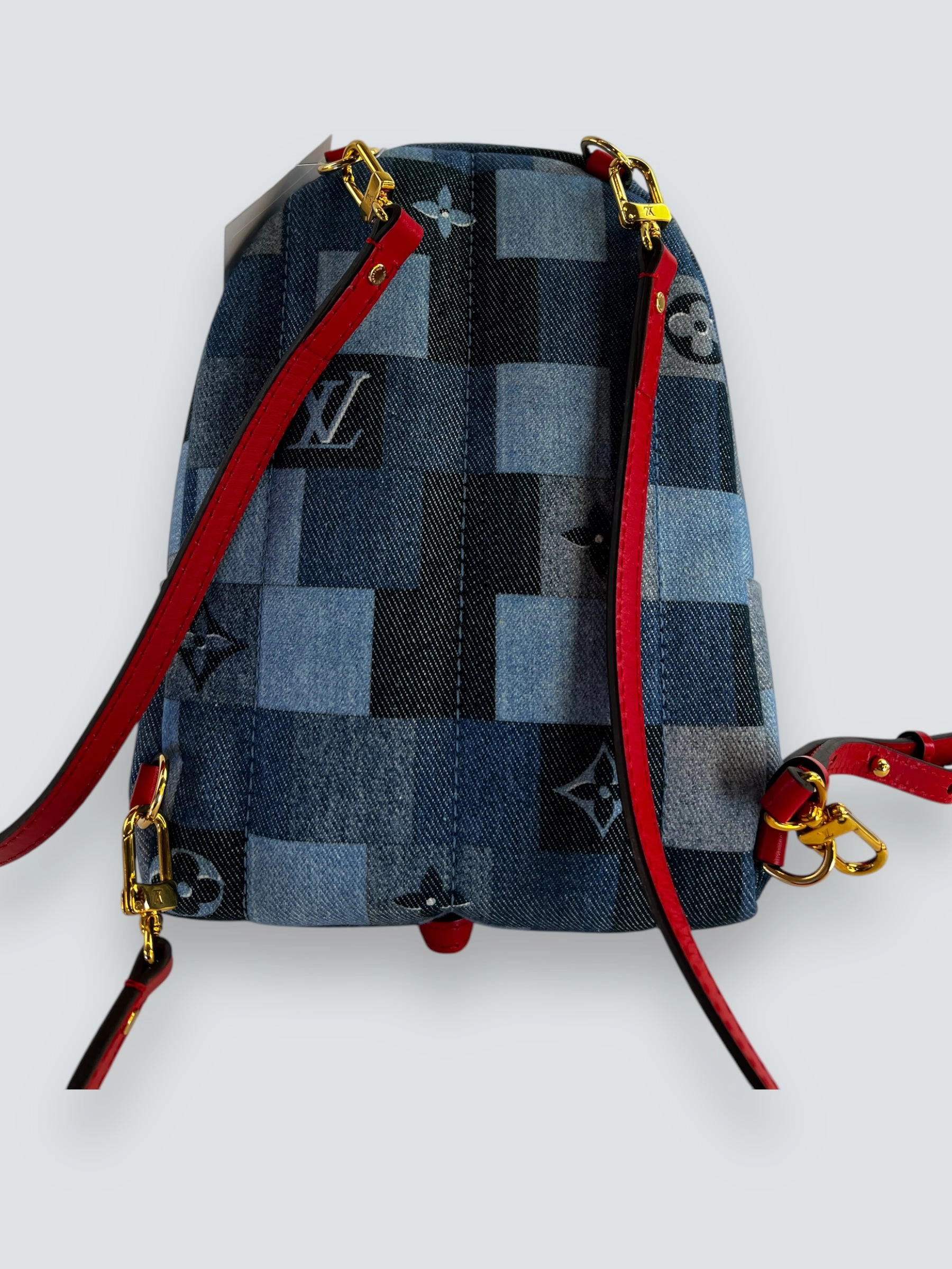 Louis Vuitton Denim Palm Spring Mini Backpack