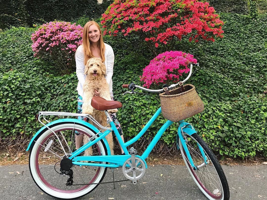 sixthreezero EVRYjourney Women's Casual Edition 26" 7-Speed Step-Through Touring Hybrid Bicycle