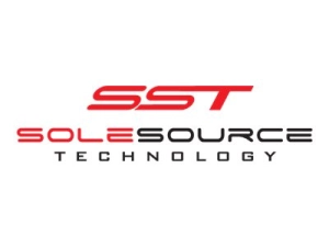 Sole Source - DDR4 - module - 16 GB - DIMM 288-pin - 3200 MHz / PC4-25600 SGD432ER282R8/16GB