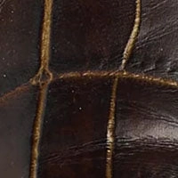 The Penny Loafer