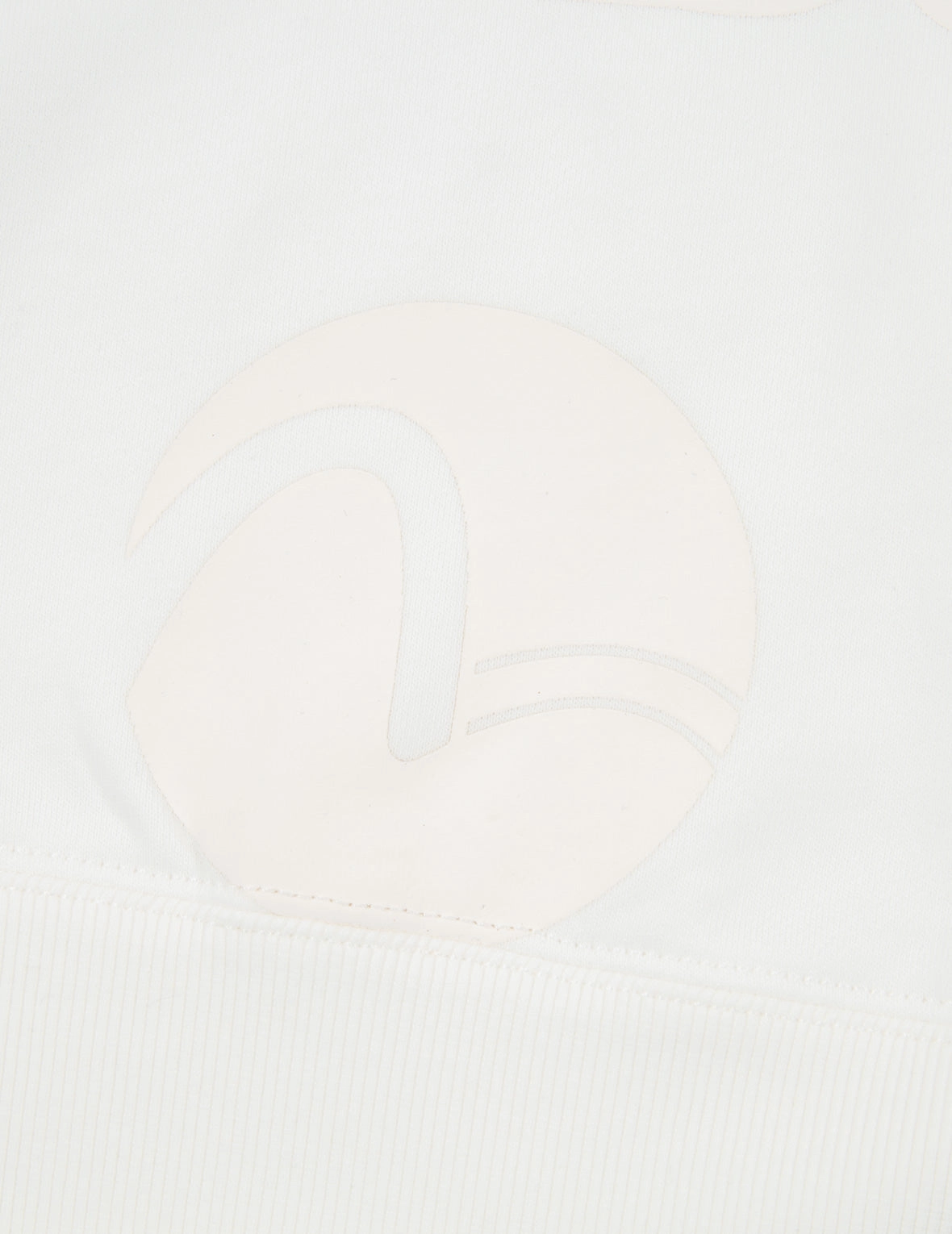 Transparent Seagull Badge Logo Print Sweatshirt