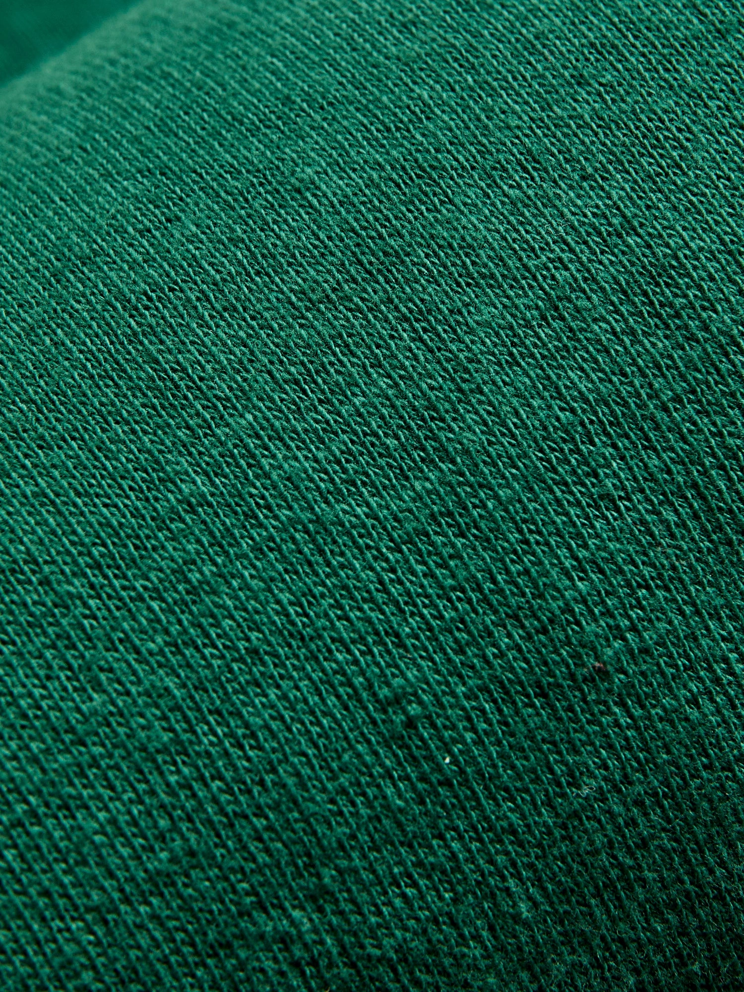 Tsuriami Loopwheel Sweatshirt in Green
