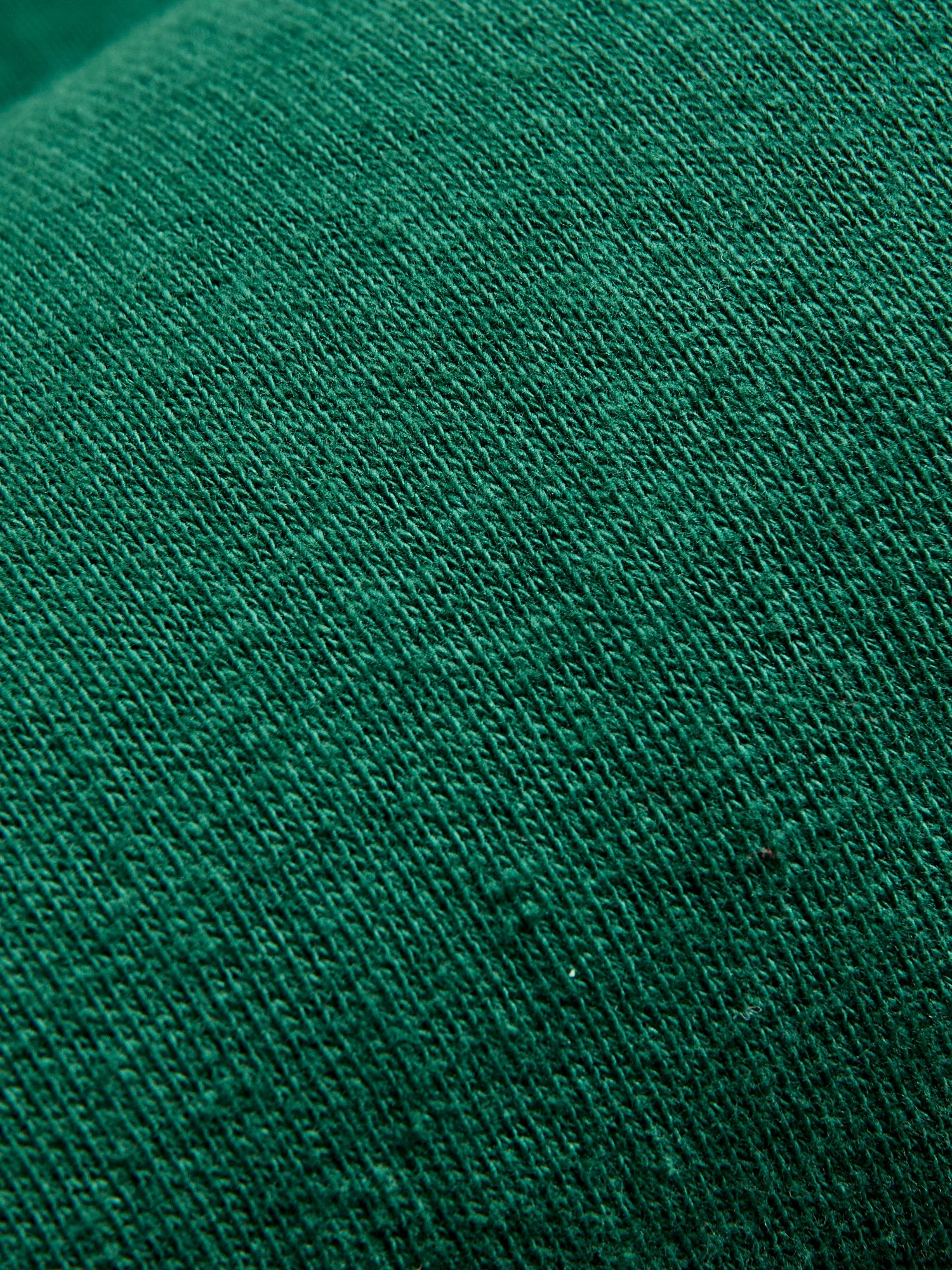 Tsuriami Loopwheel Zip Hoodie in Green