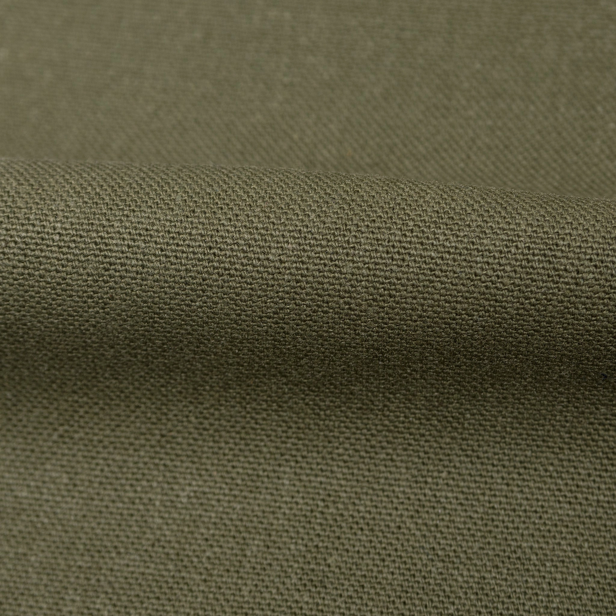 Weird Guy - Army Green Duck Selvedge