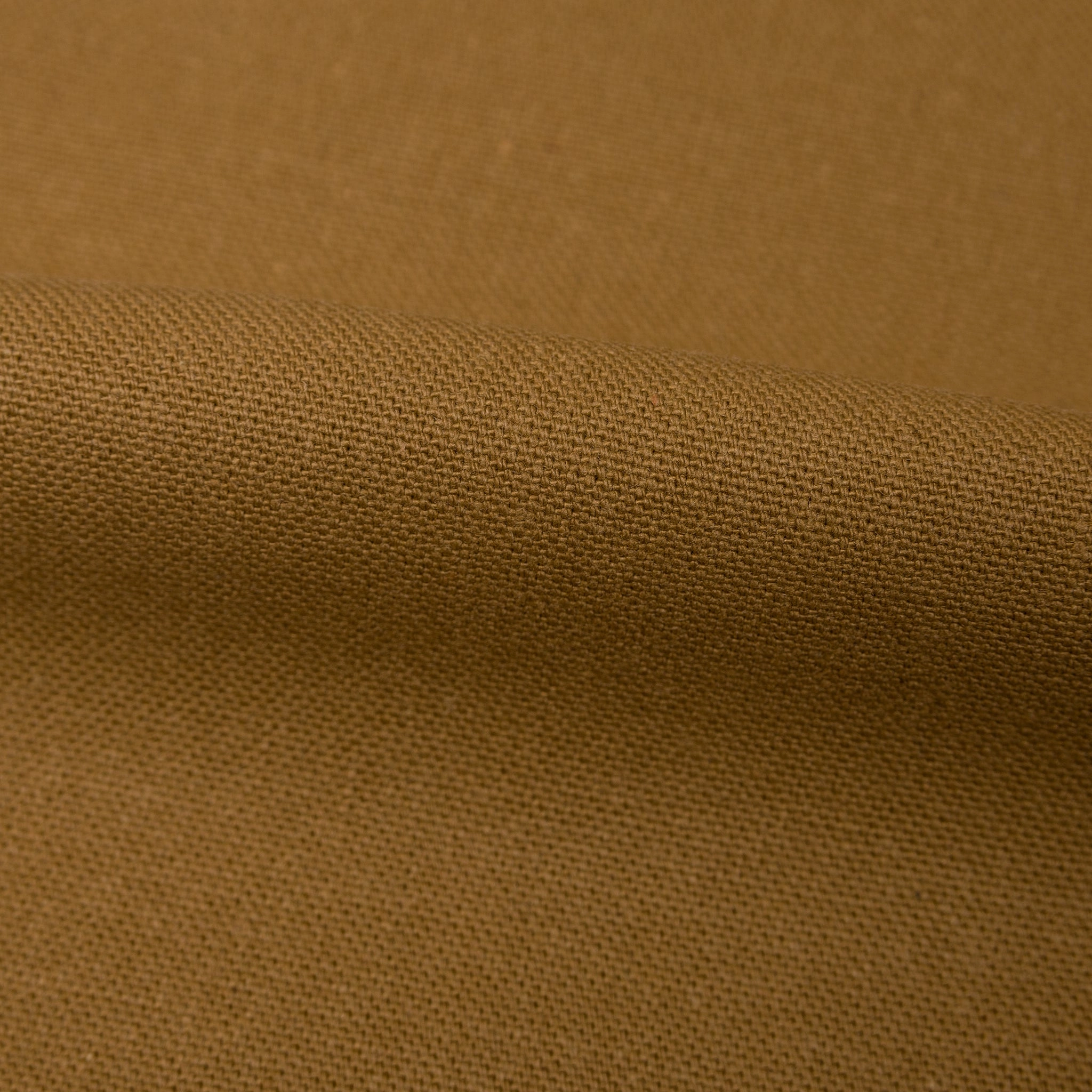 Weird Guy - Duck Canvas Selvedge