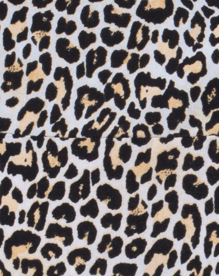 Zavnon Dress in Rar Leopard Brown
